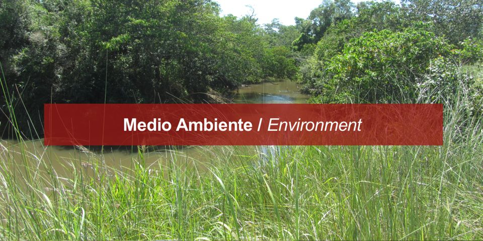 Medio Ambiente