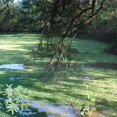 Obras Contempladas en el Programa de Corredores de Occidente