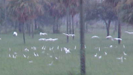 Obras Contempladas en el Programa de Corredores de Occidente